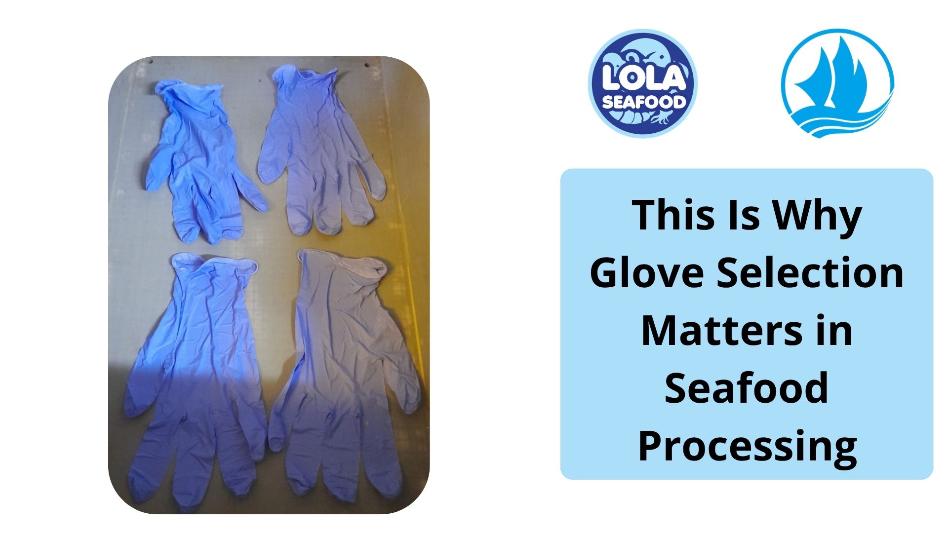  This Is Why Glove Selection Matters in Seafood Processing